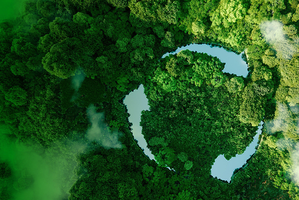 recycling image with forest